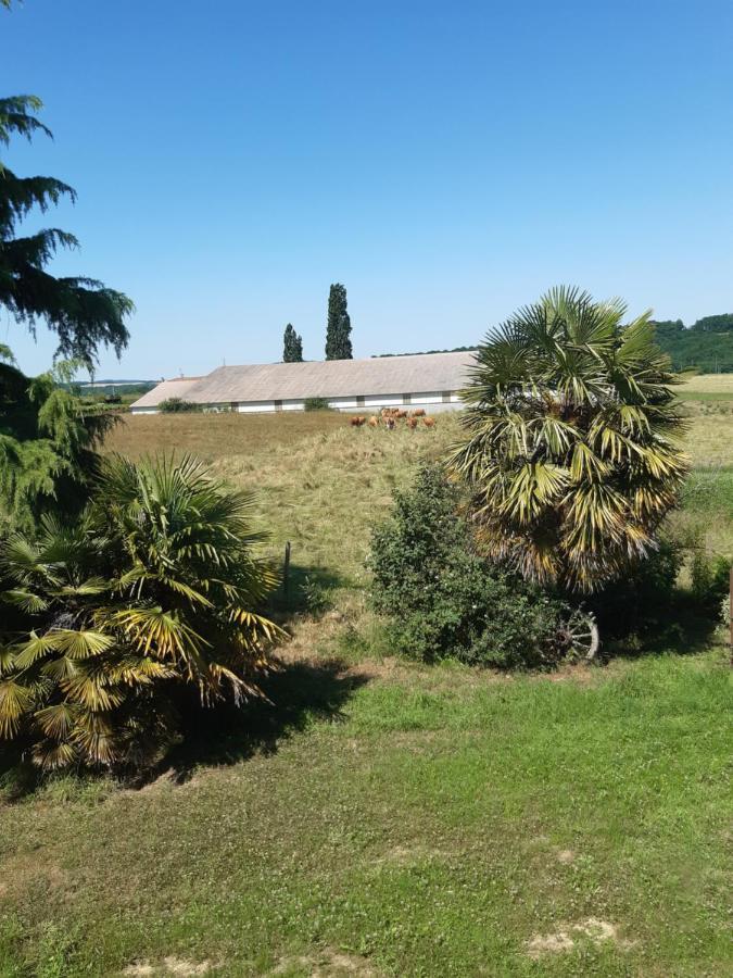 Chambre Double Avec Piscine Et Jacuzzi Bernadets-Debat Bagian luar foto